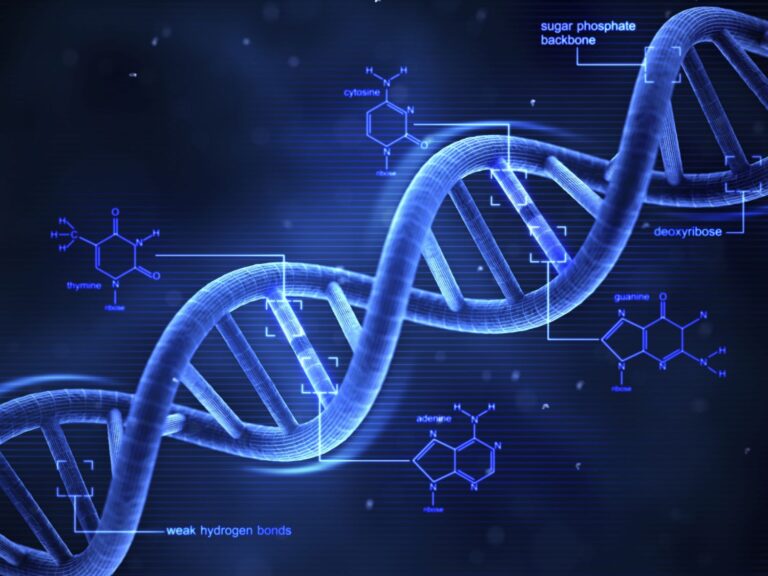 The History Of DNA Sequencing and Its Importance In Life Forms Open